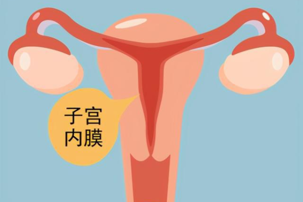 武汉代生一孩子收费标准 武汉妇幼保健院试管婴儿成功率高不高? ‘男孩孕囊图