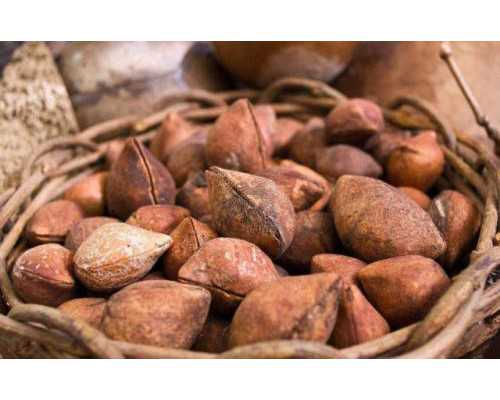 卵巢早衰一个月惊喜怀孕&有代孕机够吗,备孕来月经时，还能吃叶酸么?