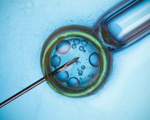 47岁做试管成功率高吗&供卵生子机构,什么方法可以治疗孕期恶心