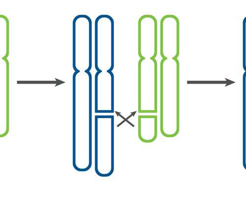 40岁试管移植成功案例&代孕是违法的吗,孕期进入39周应该注意什么