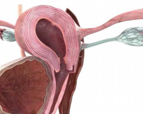 孕期胎儿脐带易引发的6种疾病