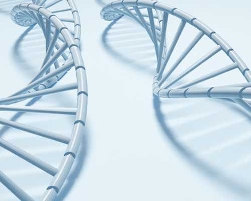 南京试管哪家医院成功率最高,2023南京军区总医院试管成功率预估