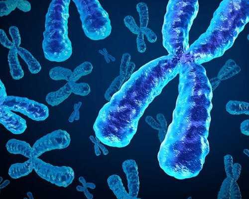 第三代试管费用大概多少，附试管婴儿费用明细