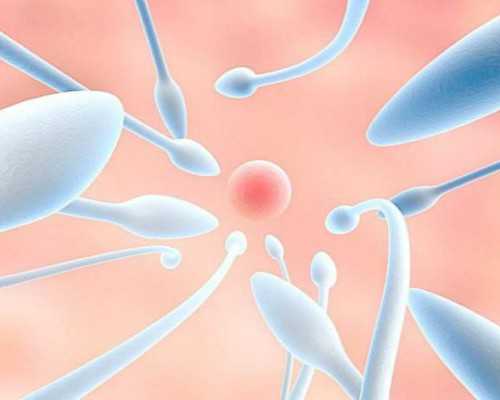 39岁试管会给移植几个&哪里招试管代孕,优贝健康UBABE格鲁吉亚助孕多囊卵巢+输