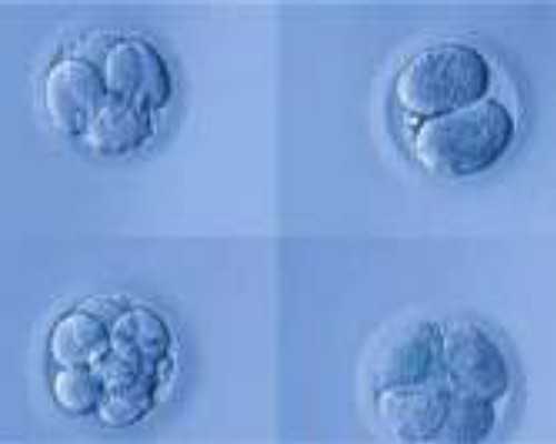 南京试管代生哪家强,南京鼓楼试管三次失败失败的原因你占了几个？