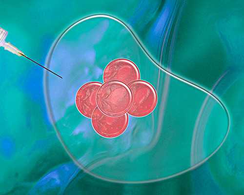 南京鼓楼试管成功率高吗？排名怎么样？,南京最有名的试管医院介绍