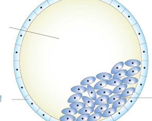 南京代怀多少费用,北京三医院供卵（北京供卵中心）_南京哪里可以做供卵试管