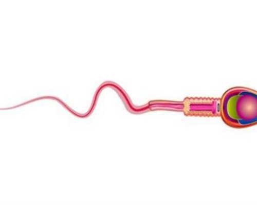 2023年在南京做试管婴儿要多少钱,预约来南京做试管婴儿要多少钱