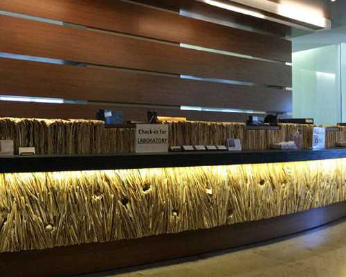 38岁一次取多少卵合适&一代试管多少精,输卵管堵塞做淮南助孕试管婴儿多少钱