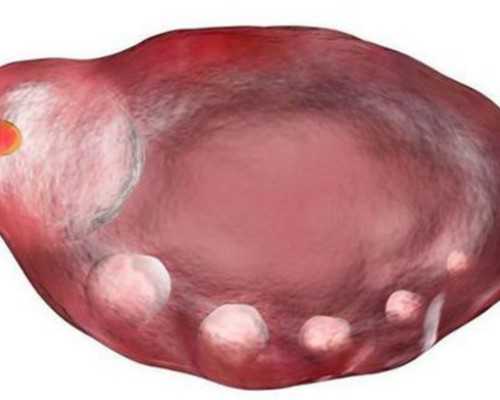 排名第南京金陵女子医院?,南京微创子宫肌瘤手术难度有多大