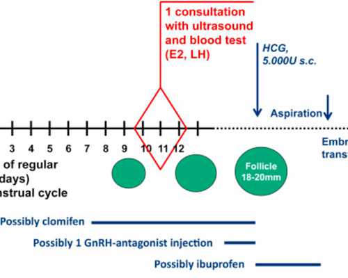 备孕男的喝豆浆好吗