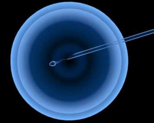 绝经一年了还会怀孕吗&供卵女孩,备孕不可盲目吃黑豆，惨痛经历告诉你这6点