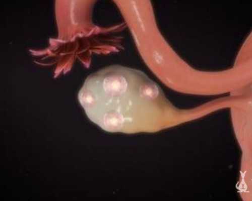 南京正规的代怀,试管婴儿是怎么来的？做之前要哪些准备？怎么做成功率高_南