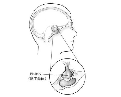 南京代怀中介网,国内做试管婴儿需要结婚证吗_南京供卵医院成功率-移植胚胎后