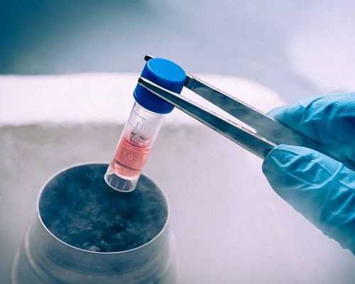 WPS中输出随机性别&供卵生殖中心,孕期3种阴道炎对准妈妈的影响