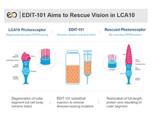 试管南京方案移植时间是多长？?,南京做试管婴儿周期需要多长时间