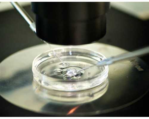 24岁女孩卵巢早衰症状&供卵试管公立医院,青岛做试管移植费用多少？附青岛市