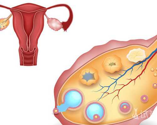 孕期马蹄声胎心140是男孩还是女孩，对比火车声即可辨别！