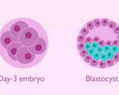 南京供卵管理中心,试管婴儿男的检查需要多少钱_南京试管供卵代生包男孩-试管