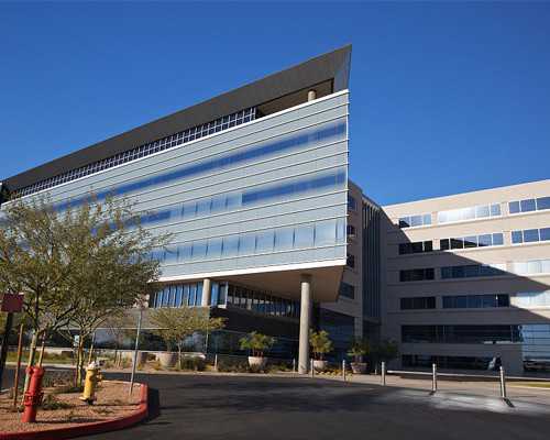 公立医院供卵试管费用&51岁借卵,男性备孕期间吃什么提高精子质量-这三类食物