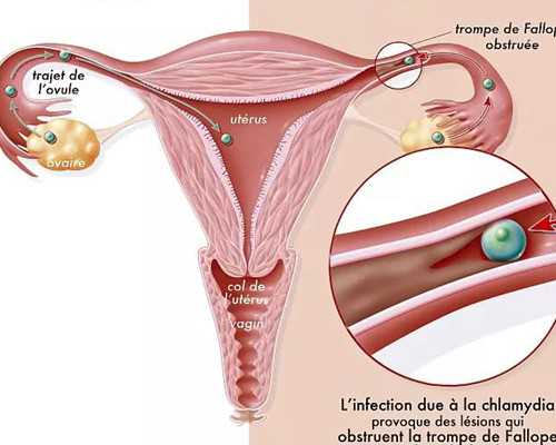 33岁了可以捐献卵子吗&供卵合法化问题,备孕知识常用小技巧-女性男性都适用