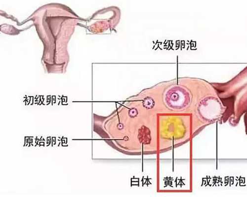 南京有代生医院吗,试管婴儿医院怎么选才能一次中，而且还一次找到个好的医