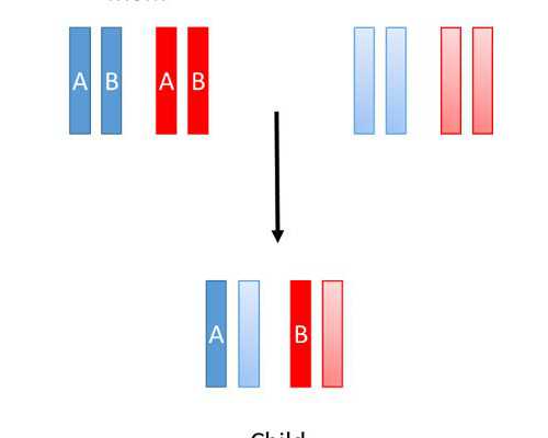节后备孕从养宫开始 懒人备孕法分享