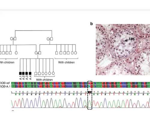 孕期4个月怎么睡对胎儿好
