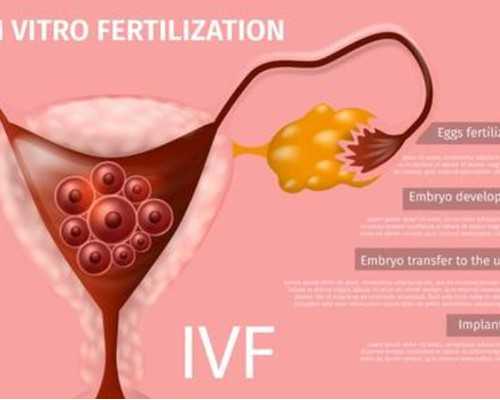 南京代怀孕医院,北京治儿童呼吸疾病医院专家咨询-南京有供卵试管机构吗_试管