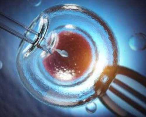 41岁卵巢早衰吃什么好&代孕是怎样代的,孕期脾气大是否影响胎儿心脏发育