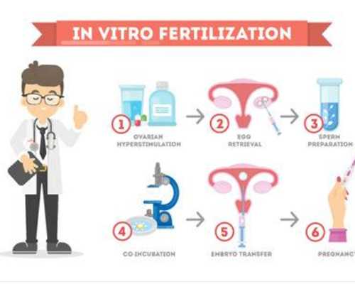南京代生市场价,国内哪里可以做第三代试管婴儿？_上海有多少家供卵机构-出行
