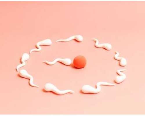 绝经还有怀孕可能吗&试管婴儿供卵多少钱,孕期脚臭怎么办啊