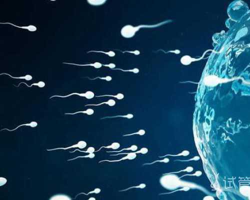 南京试管借卵,做淮南助孕试管婴儿攻略都是怎么来的_南京供卵试管婴儿费用多