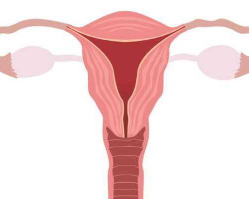 南京去代怀孕靠谱吗,南京鼓楼医院可以做三代试管筛选方案吗