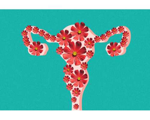 内膜3mm成功怀孕生子&那里有女代孕,什么是子宫内膜炎？子宫内膜炎在备孕时需