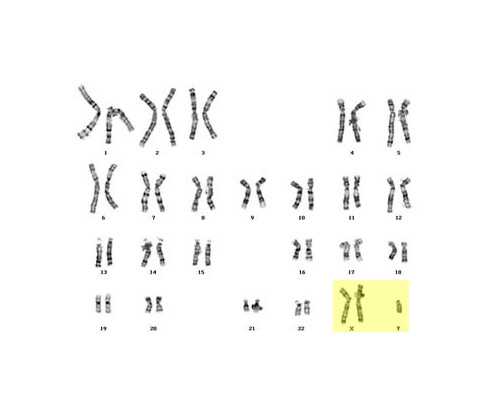 45岁女人单身冷冻卵子&供卵是免费的吗,受孕期间吃了药怎么办