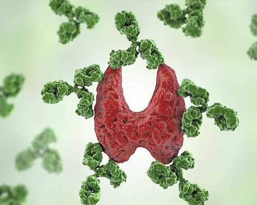 供卵试管的费用大概多少&夫妻不能生找代孕,备孕女人吃燕窝好不好，备孕期一