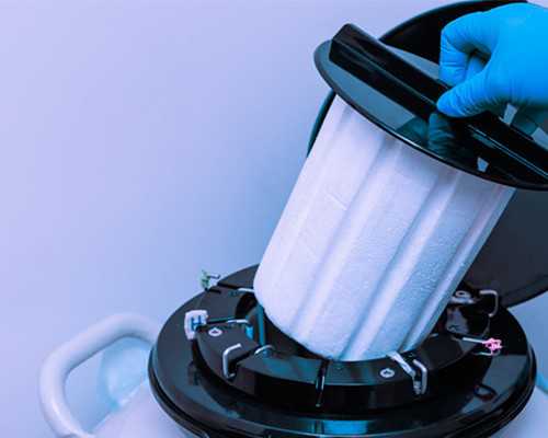 南京优生优育免费检查项目有哪些,南京子宫内膜结核哪里查