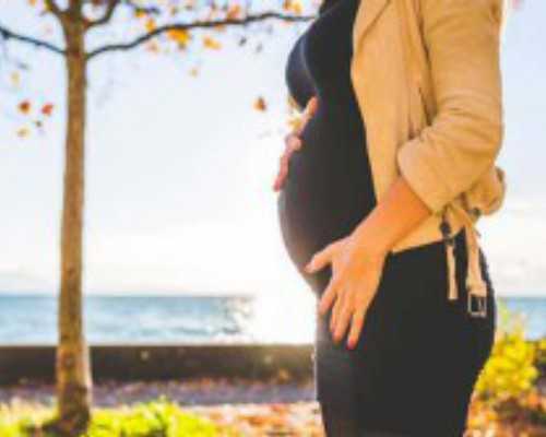 南京靠谱供卵公司,怎么联系去泰国做试管婴儿_上海哪家医院能供卵_澳门抽血查