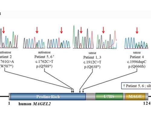 湖南南京哪些医院提供试管婴儿服务？?,南京三代试管婴儿服务机构