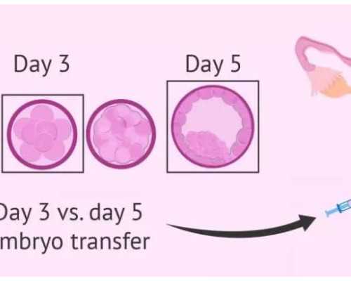 南京靠谱代生,南京第三代试管婴儿医院费用?_华西医院是公立还是私立_子宫内