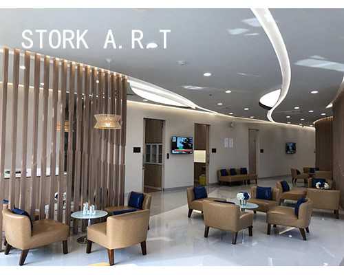 南京供卵试管国外可以做吗,南京试管去