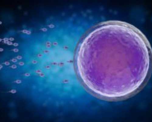 卵泡变小是自行萎缩还是正在排卵呢？还是已经排出了