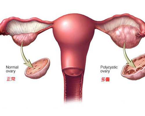 南京医院代孕,国内的试管婴儿可以做性别鉴定吗？_2o21年生男生女蔵宝图_南京