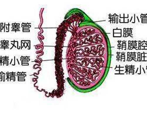 南京鼓楼医院做三代试管费用大概多少钱？,南京鼓楼医院生殖中心