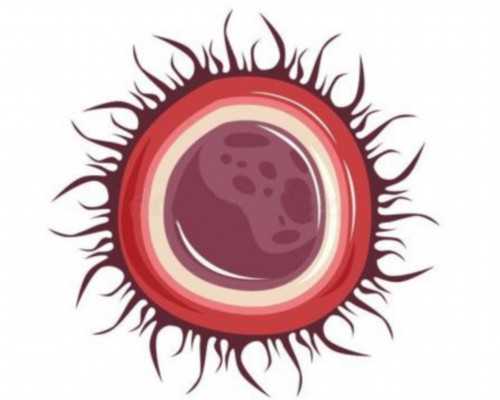 南京代怀服务,[美中宜和试管婴儿成功率]子宫内膜薄的治疗费用是多少_南京试