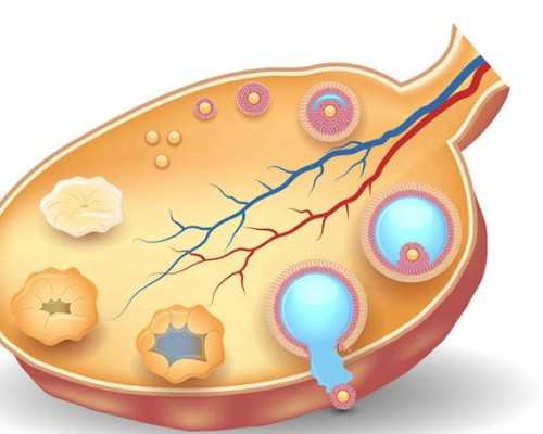 南京代怀产子公司,试管婴儿需要什么条件才可以做？-南京做供卵试管婴儿多少