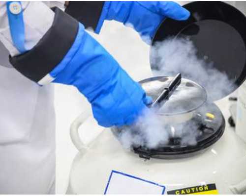 南京供卵代孕生孩子,南京做试管婴儿-南京试管能做龙凤胎吗