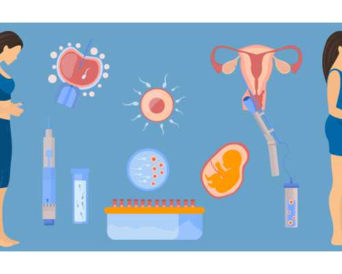 南京成功供卵试管,一般做试管婴儿是男人有问题还是女人有-南京公立医院供卵