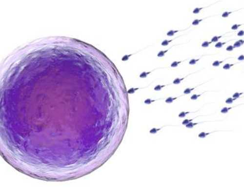 南京代怀专业吗,试管婴儿过程中，影响胚胎着床的5大绊脚 -南京公立医院供卵